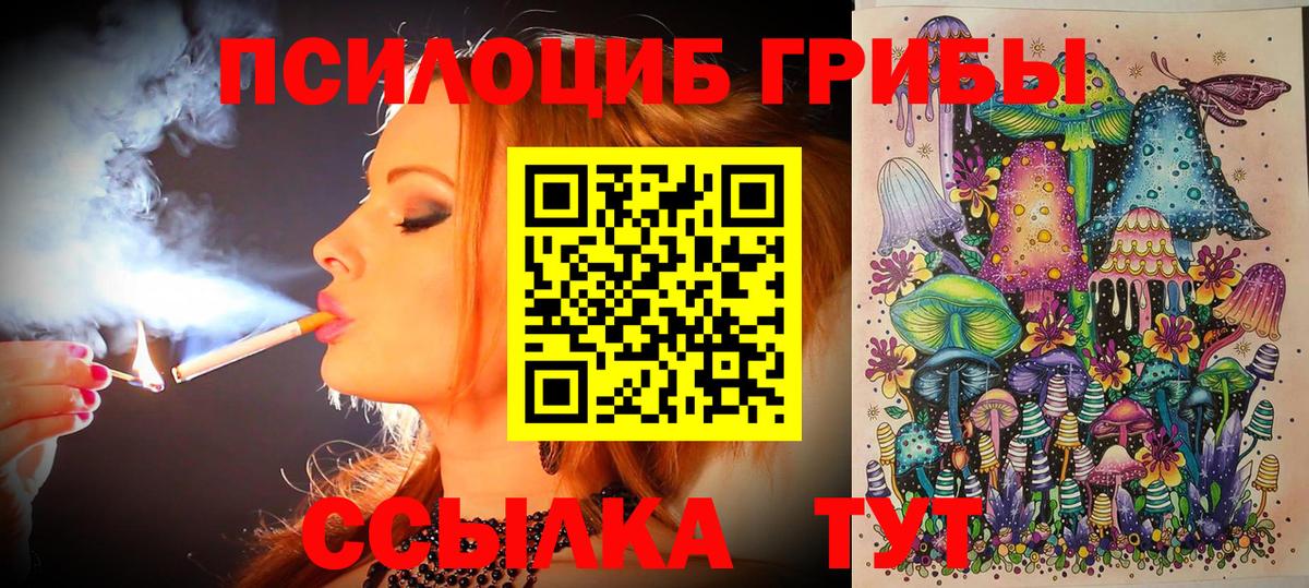 Ачхой-Мартан  Галлюциногенные грибы Cubensis  Галлюциногенные грибы ЛСД  Вход с VPN 